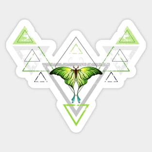 Geometric Pattern with Green Butterfly Sticker